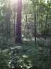 Map or photo for Clay County, Illinois hunting lease property.