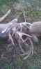 Map or photo for Clay County, Illinois hunting lease property.