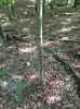 Map or photo for Clay County, Illinois hunting lease property.