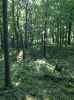 Map or photo for Clay County, Illinois hunting lease property.