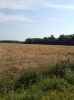 Map or photo for Clay County, Illinois hunting lease property.