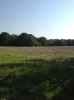 Map or photo for Clay County, Illinois hunting lease property.