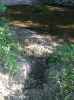 Map or photo for Clay County, Illinois hunting lease property.