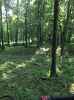 Map or photo for Clay County, Illinois hunting lease property.