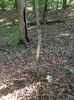 Map or photo for Clay County, Illinois hunting lease property.