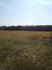 Map or photo for Clay County, Illinois hunting lease property.