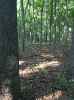 Map or photo for Clay County, Illinois hunting lease property.