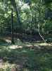 Map or photo for Clay County, Illinois hunting lease property.