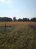 Map or photo for Clay County, Illinois hunting lease property.