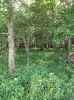 Map or photo for Clay County, Illinois hunting lease property.