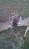 Map or photo for Clay County, Illinois hunting lease property.