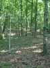 Map or photo for Clay County, Illinois hunting lease property.