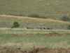 Map or photo for Butte County, South Dakota hunting lease property.