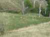 Map or photo for Butte County, South Dakota hunting lease property.