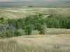Map or photo for Butte County, South Dakota hunting lease property.