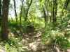 Map or photo for Grundy County, Missouri hunting lease property.