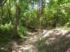 Map or photo for Grundy County, Missouri hunting lease property.