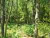 Map or photo for Grundy County, Missouri hunting lease property.