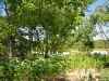 Map or photo for Grundy County, Missouri hunting lease property.