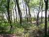 Map or photo for Grundy County, Missouri hunting lease property.