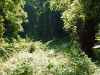 Map or photo for Guernsey County, Ohio hunting lease property.