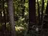 Map or photo for Guernsey County, Ohio hunting lease property.
