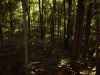 Map or photo for Guernsey County, Ohio hunting lease property.