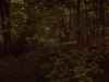 Map or photo for Guernsey County, Ohio hunting lease property.