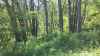 Map or photo for Hart County, Kentucky hunting lease property.