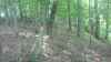 Map or photo for Hart County, Kentucky hunting lease property.