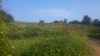 first look at the farm