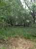 Map or photo for De Witt County, Illinois hunting lease property.