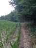 Map or photo for De Witt County, Illinois hunting lease property.