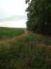 Map or photo for De Witt County, Illinois hunting lease property.
