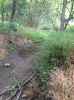 Map or photo for De Witt County, Illinois hunting lease property.