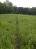 Map or photo for De Witt County, Illinois hunting lease property.