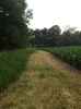 Map or photo for De Witt County, Illinois hunting lease property.