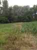 Map or photo for De Witt County, Illinois hunting lease property.