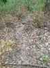 Map or photo for De Witt County, Illinois hunting lease property.