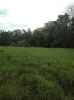 Map or photo for De Witt County, Illinois hunting lease property.