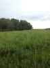 Map or photo for De Witt County, Illinois hunting lease property.