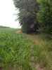Map or photo for De Witt County, Illinois hunting lease property.