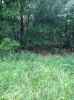 Map or photo for De Witt County, Illinois hunting lease property.