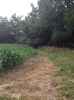 Map or photo for De Witt County, Illinois hunting lease property.