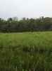 Map or photo for De Witt County, Illinois hunting lease property.