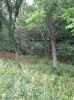 Map or photo for De Witt County, Illinois hunting lease property.
