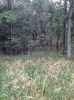 Map or photo for De Witt County, Illinois hunting lease property.
