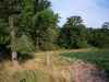 Map or photo for Pike County, Missouri hunting lease property.
