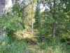 Map or photo for Pike County, Missouri hunting lease property.