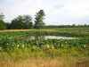 Map or photo for Pike County, Missouri hunting lease property.
